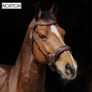 Bridon complet avec hackamore NORTON PRO 301899 havane Sellerie Equinoxe Shop Bridon complet avec hackamore NORTON PRO 301899 havane Sellerie Equinoxe Shop