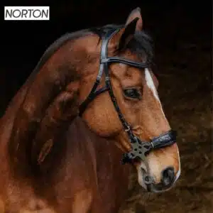 Bridon complet avec hackamore NORTON PRO 301899 noir Sellerie Equinoxe Shop Bridon complet avec hackamore NORTON PRO 301899 noir Sellerie Equinoxe Shop
