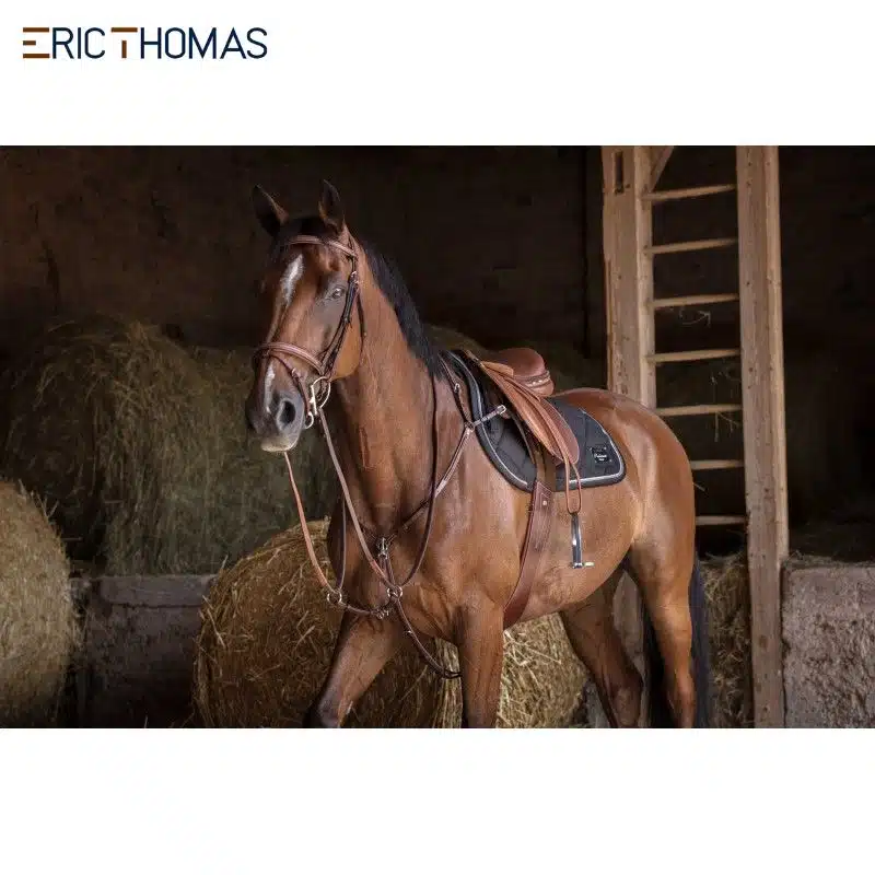 Collier de chasse Hybrid Eric Thomas 306607 by Sellerie Equinoxe Shop Fuveau