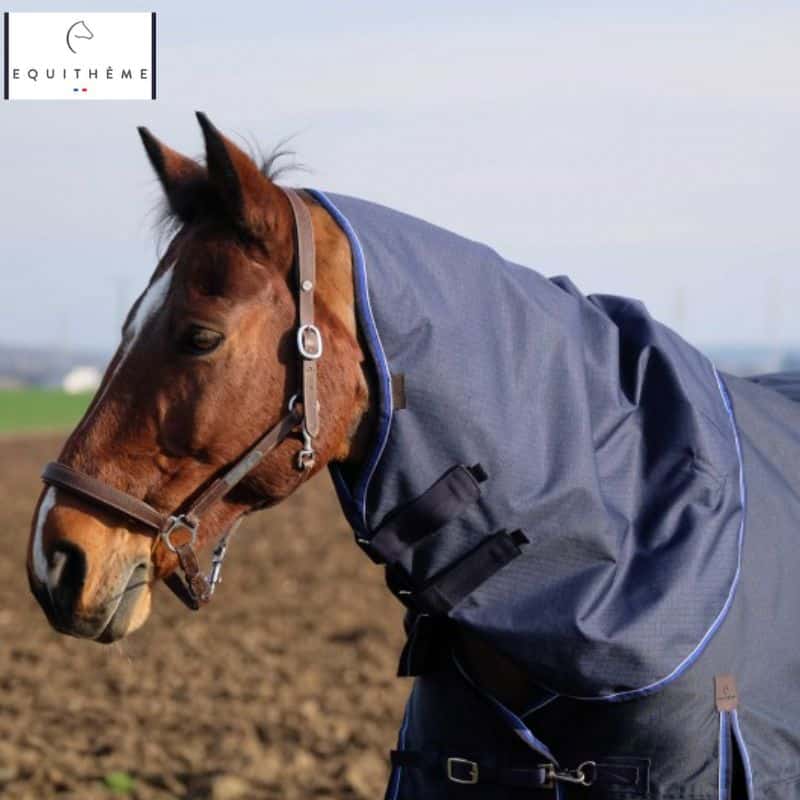 Couvre cou Classic imperméable 600D cheval EQUITHÈME 400537 Sellerie Equinoxe Shop Fuveau