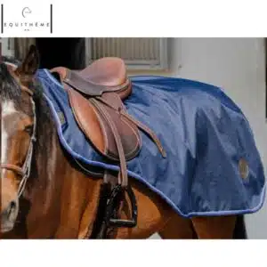 Couvre reins Classic imperméable polaire 1200D cheval Marine EQUITHÈME 400534 Sellerie Equinoxe Shop Fuveau Couvre reins Classic imperméable polaire 1200D cheval Marine EQUITHÈME 400534 Sellerie Equinoxe Shop Fuveau