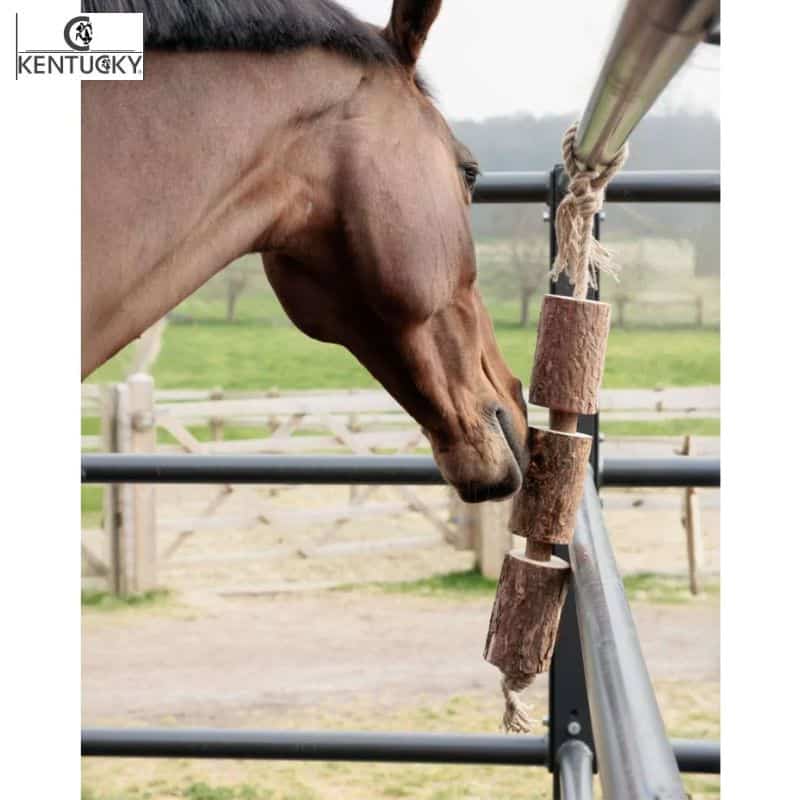 Jouet en bois relaxant pour cheval Wooden Relax Horse Toy Kentucky Horsewear Nature One Size 52004 NATURE Sellerie Equinoxe Fuveau