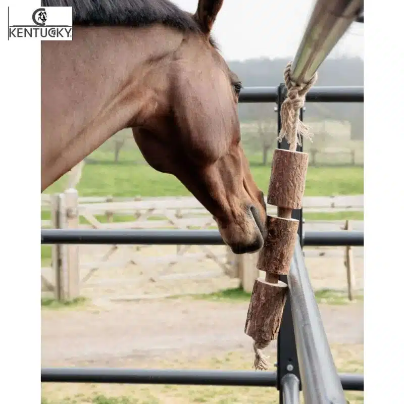 Jouet en bois relaxant pour cheval Wooden Relax Horse Toy Kentucky Horsewear Nature One Size 52004 NATURE Sellerie Equinoxe Fuveau