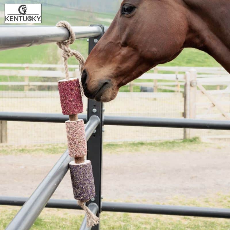 Jouet en bois relaxant pour cheval Wooden Relax Horse Toy Kentucky Horsewear Unicorn Joy One Size Sellerie Equinoxe Fuveau