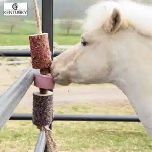 Jouet en bois relaxant pour poney avec pierre à sel Kentucky Horsewear 52005 AIRWAYS Sellerie Equinoxe Fuveau