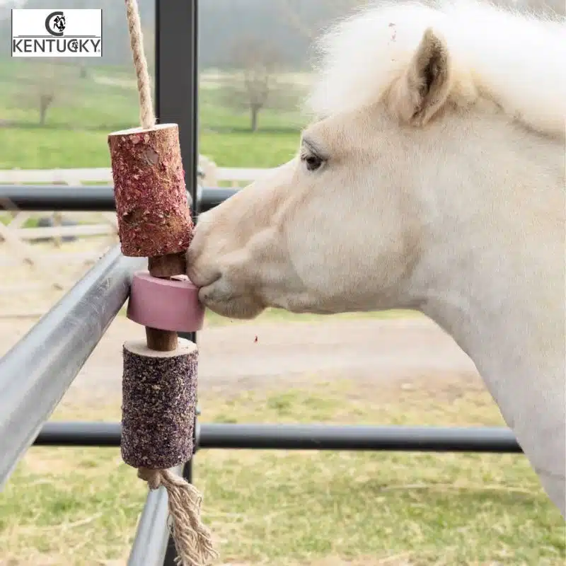Jouet en bois relaxant pour poney avec pierre à sel Kentucky Horsewear 52005 AIRWAYS Sellerie Equinoxe Fuveau