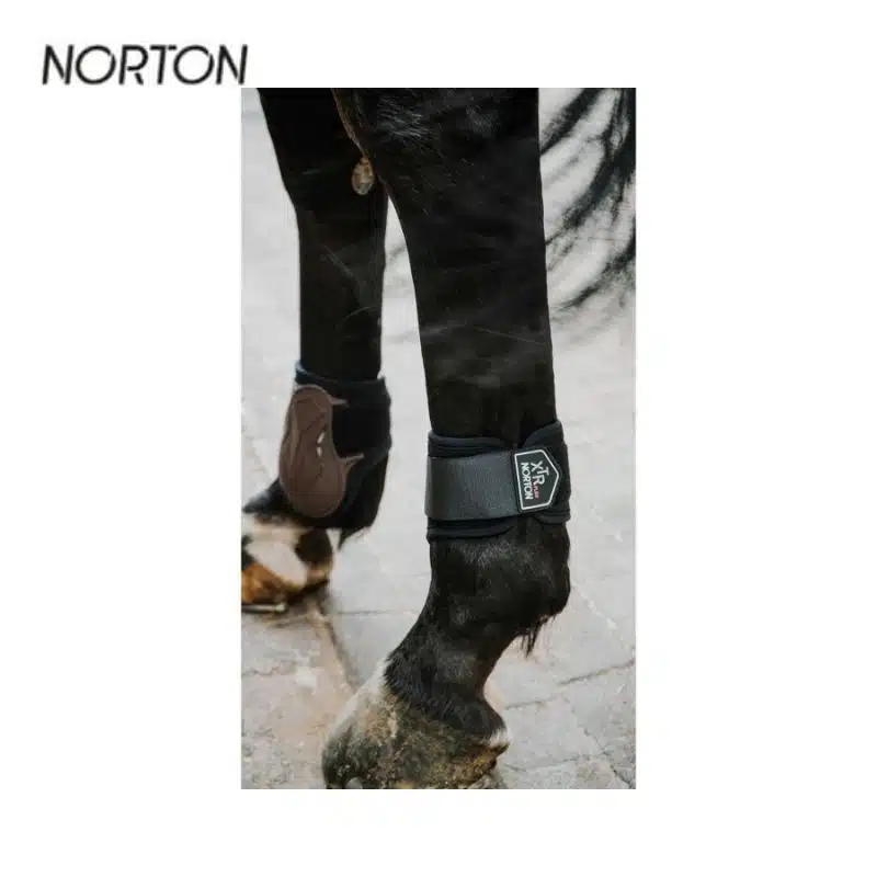 Protège-boulets NORTON New XTR Flex à velcros cheval 530678 Sellerie Equinoxe Shop