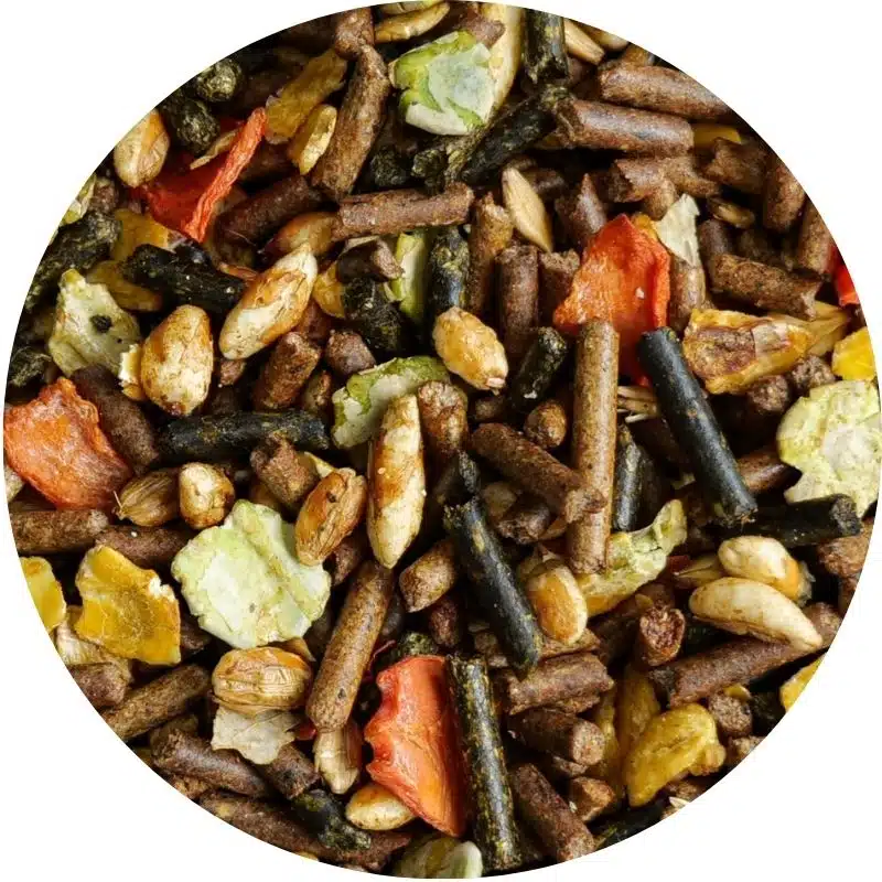 Aliment pour chevaux REGUL DIGEST LAMBEY granulés pour chevaux risques d ulcères Sellerie Equinoxe Shop Fuveau