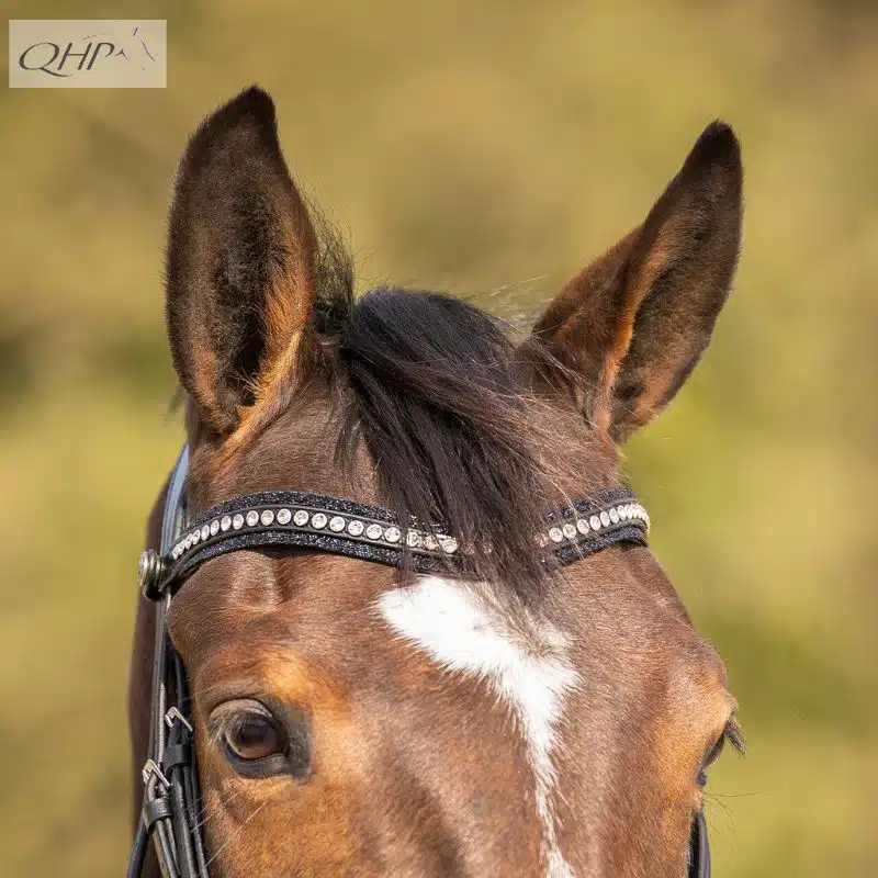 Bridon Skye Frontal Strass QHP 9115 noir cheval Sellerie Equinoxe Shop Fuveau