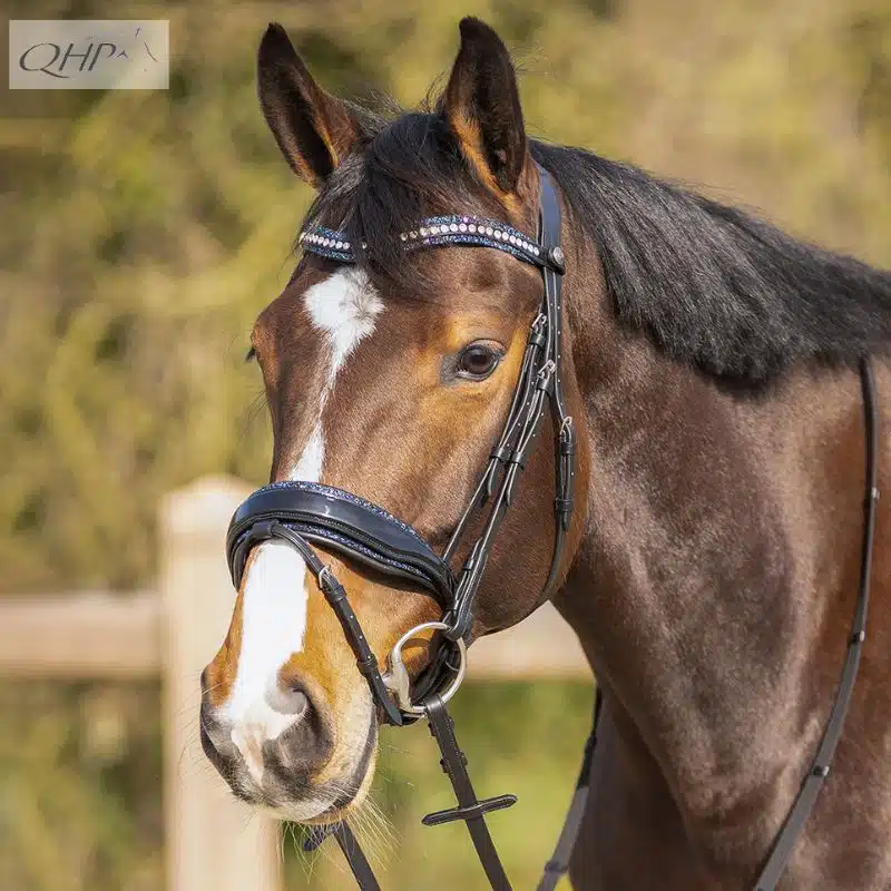 Bridon Skye Strass et paillettes QHP 9115 + 2251 noir bleu cheval Sellerie Equinoxe Shop Fuveau