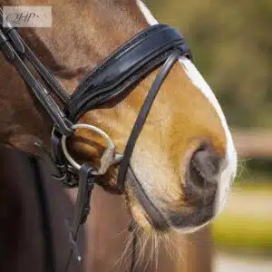 Bridon Skye paillettes QHP 9115 noir cheval Sellerie Equinoxe Shop Fuveau