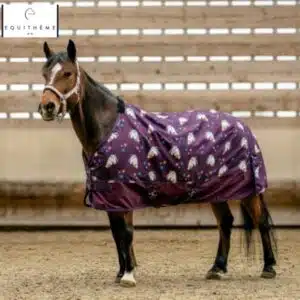 Poney portant la chemise Licorne Equi-Thème 600D 0 g au pré