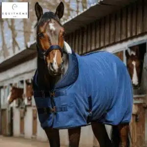 Chemise polaire laine Confortech 400586 Cheval Sellerie Equinoxe Shop Fuveau Chemise polaire laine Confortech 400586 Cheval Sellerie Equinoxe Shop Fuveau