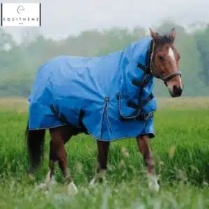 Couverture Combo TYREX Aisance 1200D 300gr EQUITHÈME 400944 Sellerie Equinoxe Shop Couverture Combo TYREX Aisance 1200D 300gr EQUITHÈME 400944 Sellerie Equinoxe Shop