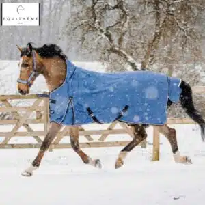 Couverture Tyrex Aisance 1200D High Neck Equi-Thème portée au paddock Couverture Tyrex Aisance 1200D High Neck Equi-Thème portée au paddock