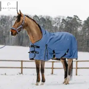 Couverture Tyrex Aisance 1200D High Neck Equi-Thème portée au par un cheval au pré Couverture Tyrex Aisance 1200D High Neck Equi-Thème portée au pré l'hiver