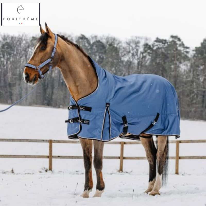Couverture Tyrex Aisance 1200D High Neck Equi-Thème portée au pré l'hiver