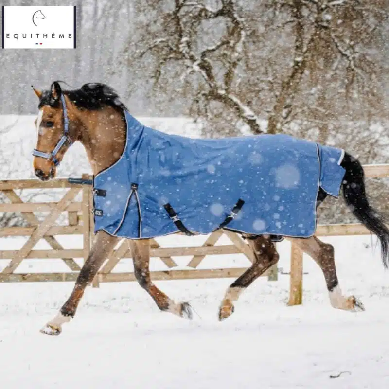 Couverture Tyrex Aisance 1200D High Neck Equi-Thème portée au paddock