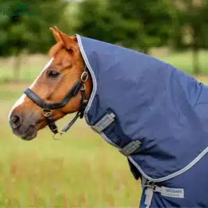 Couverture de paddock Rhino Plus Vari-Layer heavy 450gr HORSEWARE AABPV4 navy Sellerie Equinoxe Shop Fuveau