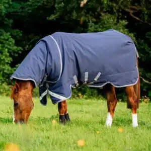 Couverture de paddock avec cou amovible Rhino Plus Vari-Layer heavy 450gr HORSEWARE AABPV4 navy Sellerie Equinoxe Shop Fuveau