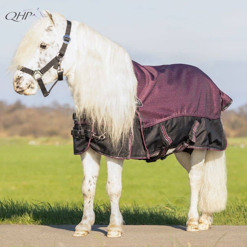 Couverture de paddock poney collection falabella prune 1200D 50gr QHP 6385 Sellerie Equinoxe Shop Fuveau