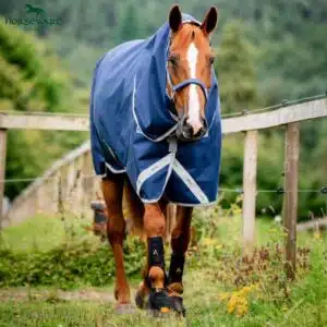Couverture d'extérieur avec cou amovible Amigo Bravo 12 Plus heavy 400gr HORSEWARE AARP74 marine Sellerie Equinoxe Shop Fuveau