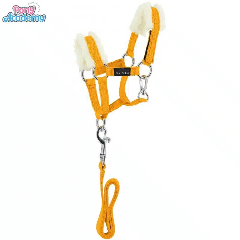 Set Mini licol avec longe jaune pour peluche PONY ACADEMY EQUITHEME 901426 Sellerie Equinoxe Shop Fuveau