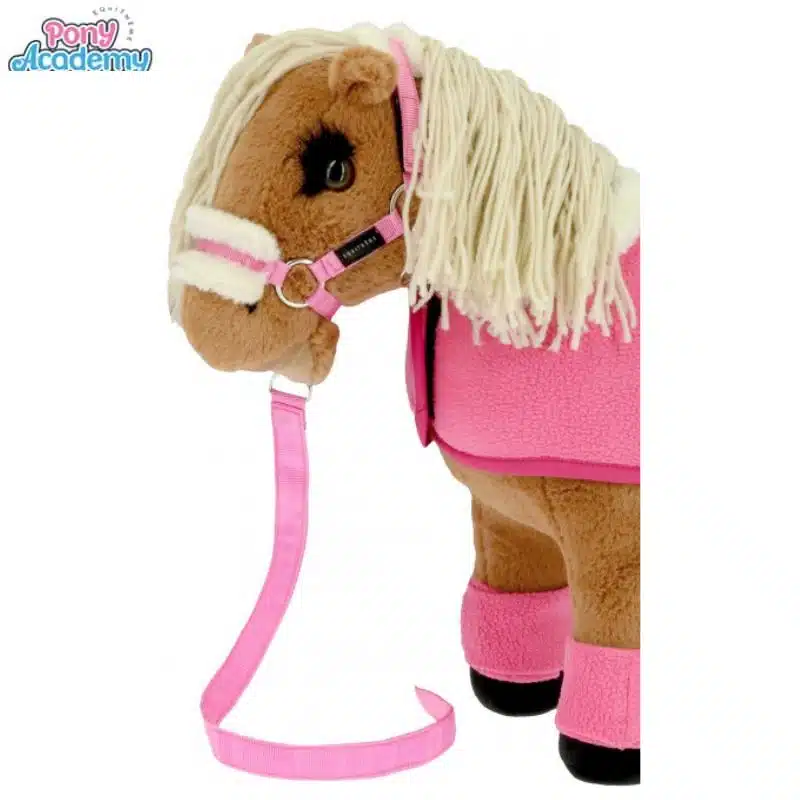 Mini-set licol et longe rose PONY ACADEMY Sellerie Equinoxe Shop Fuveau