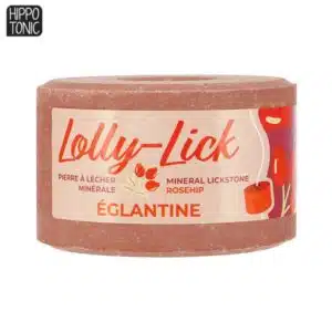 Pierre à lécher minérale pour chevaux LOLLY LICK Eglantine HIPPOTONIC 731007001 Sellerie Equinoxe Shop