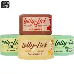 Pierre à lécher minérale pour chevaux LOLLY LICK HIPPOTONIC 731007 Sellerie Equinoxe Shop