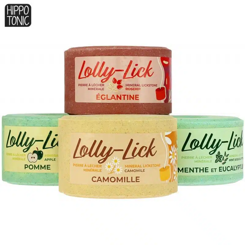 Pierre à lécher minérale pour chevaux LOLLY LICK HIPPOTONIC 731007 Sellerie Equinoxe Shop