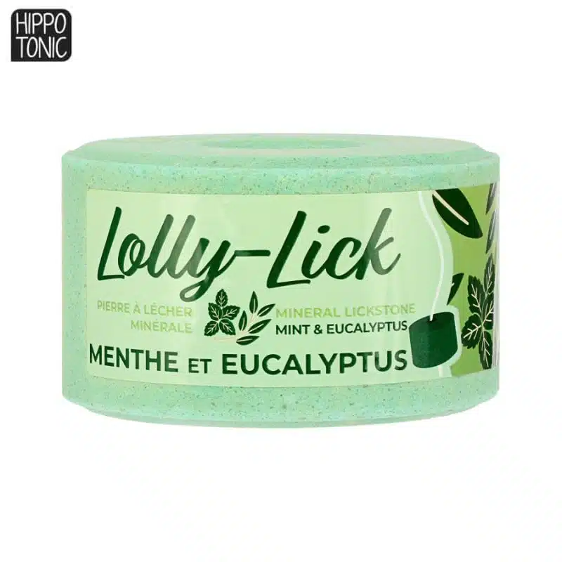 Pierre à lécher minérale pour chevaux LOLLY LICK Menthe Eucalyptus HIPPOTONIC 731007003 Sellerie Equinoxe Shop