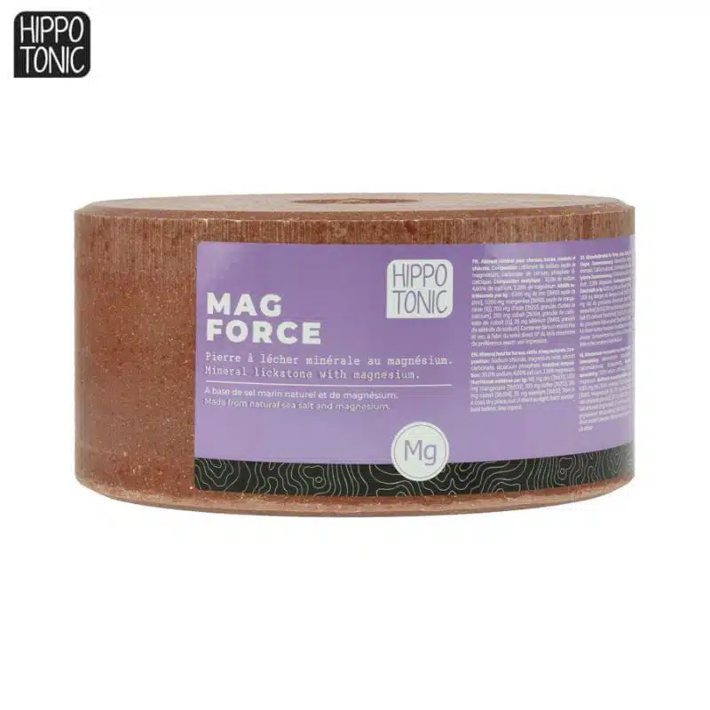 Pierre à sel Magforce HIPPOTONIC 731004300 Sellerie Equinoxe Shop