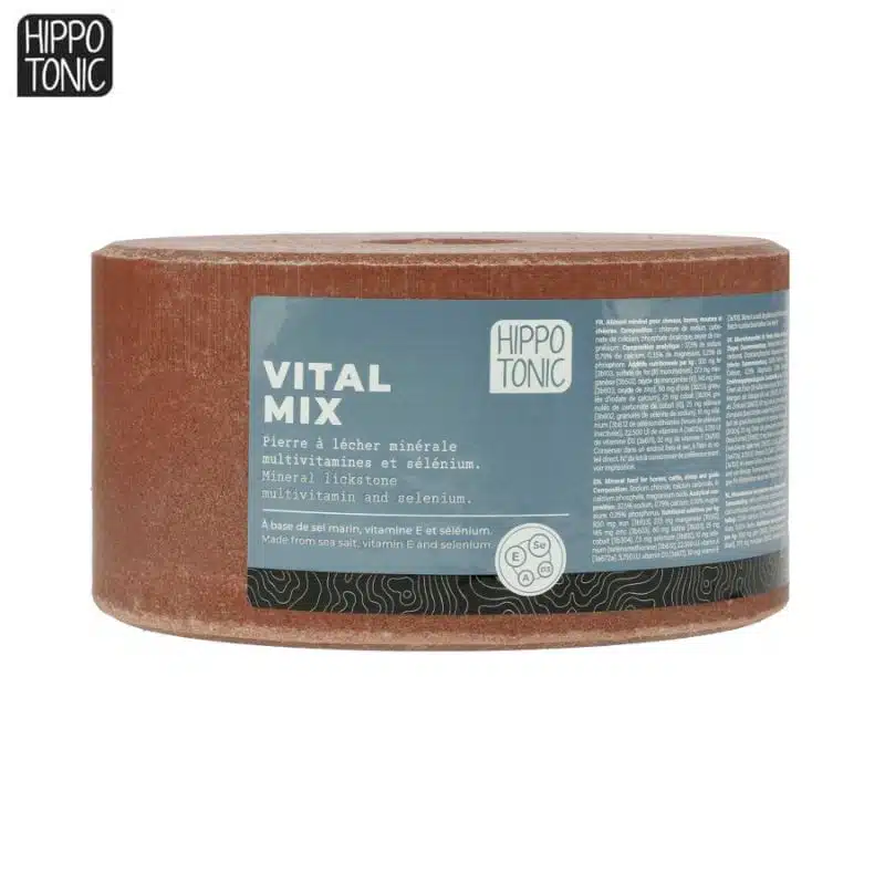 Pierre à sel VitalMix HIPPOTONIC 731005300 Sellerie Equinoxe Shop