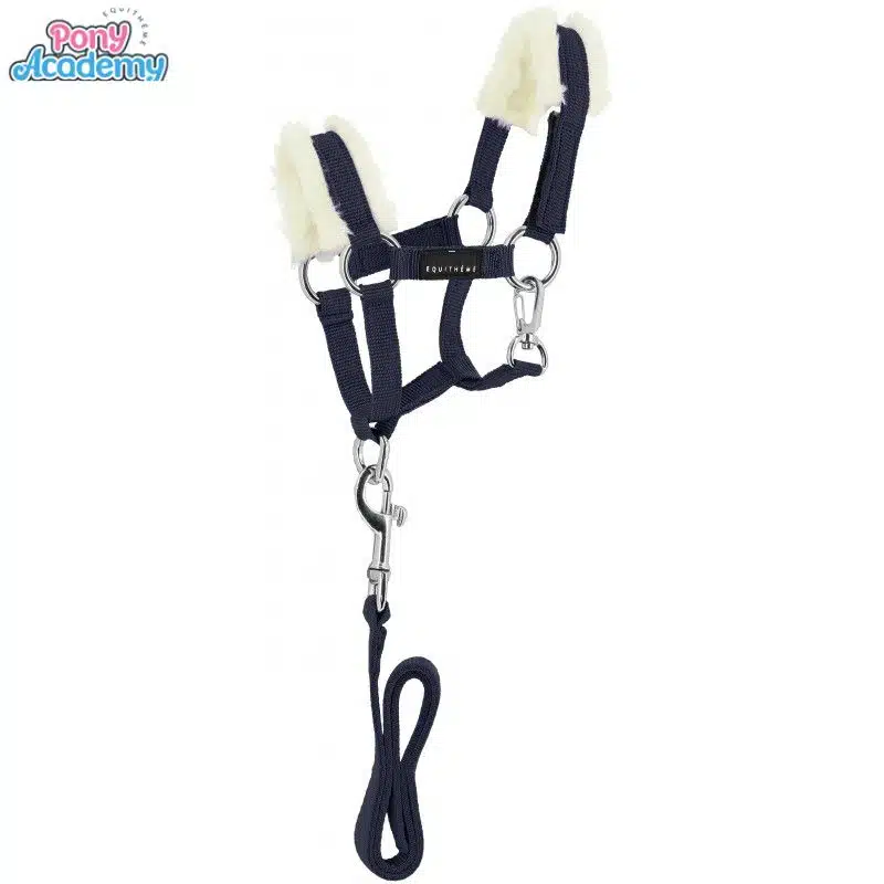 Set Mini licol avec longe bleu marine pour peluche PONY ACADEMY EQUITHEME 901426 Sellerie Equinoxe Shop Fuveau