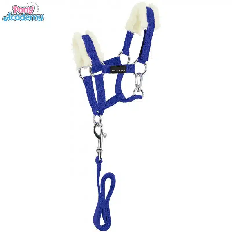 Set Mini licol avec longe bleu roi pour peluche PONY ACADEMY EQUITHEME 901426 Sellerie Equinoxe Shop Fuveau