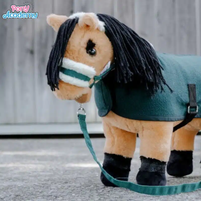 Set Mini licol avec longe pour peluche PONY ACADEMY EQUITHEME 901426 Sellerie Equinoxe Shop Fuveau