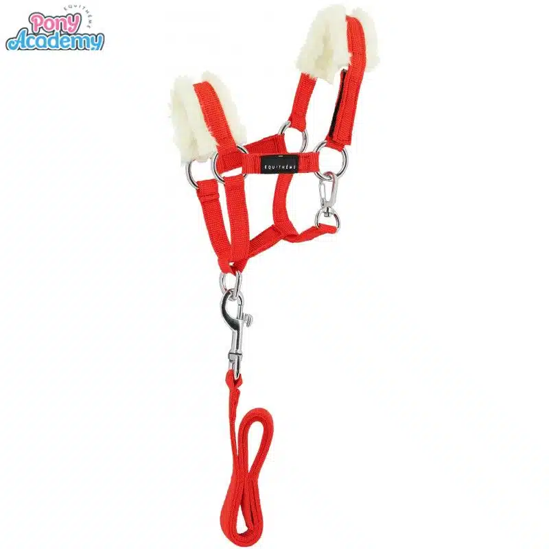 Set Mini licol avec longe rouge pour peluche PONY ACADEMY EQUITHEME 901426 Sellerie Equinoxe Shop Fuveau