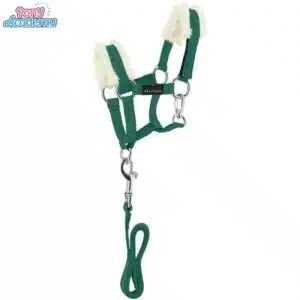 Set Mini licol avec longe vert foret pour peluche PONY ACADEMY EQUITHEME 901426 Sellerie Equinoxe Shop Fuveau