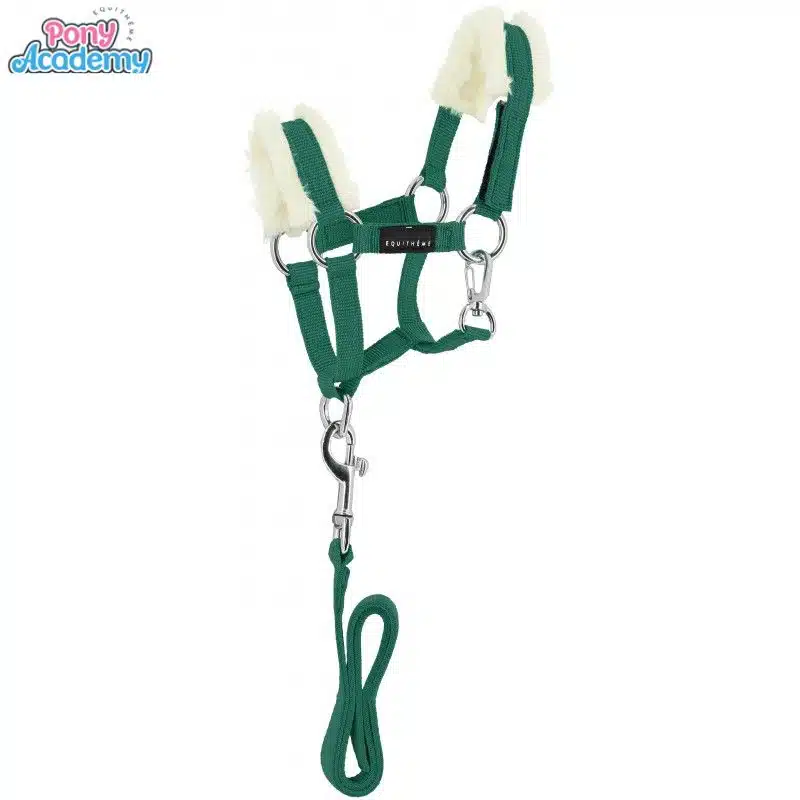 Set Mini licol avec longe vert foret pour peluche PONY ACADEMY EQUITHEME 901426 Sellerie Equinoxe Shop Fuveau