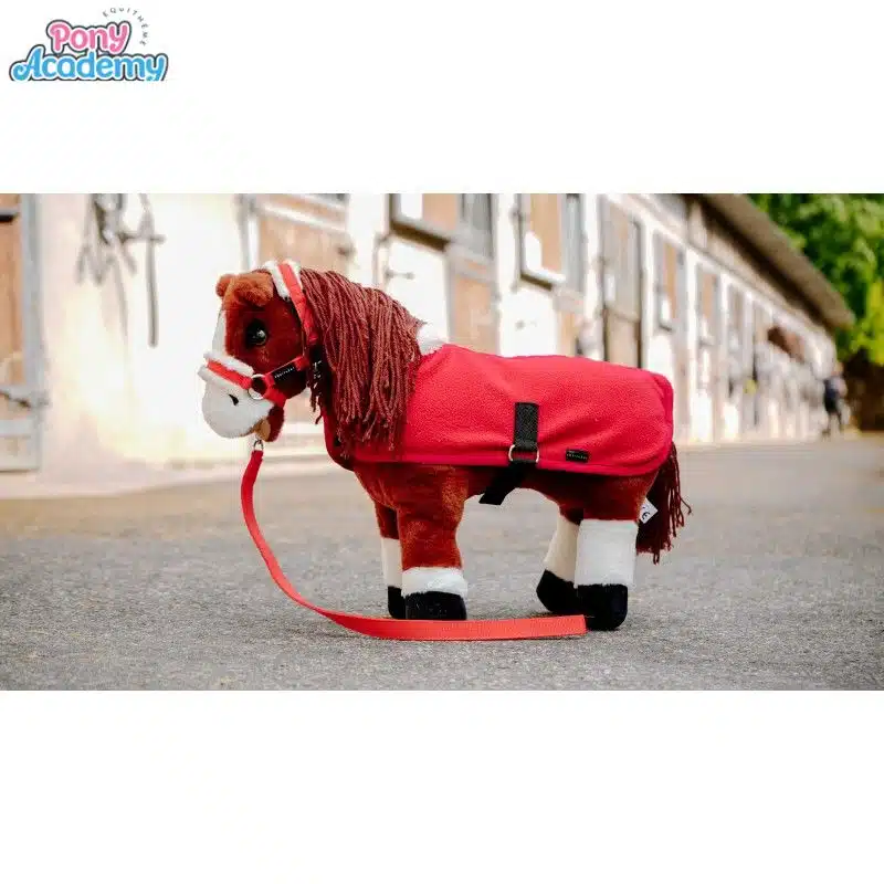 Set Mini licol couverture PONY ACADEMY EQUITHEME rouge Sellerie Equinoxe Shop Fuveau