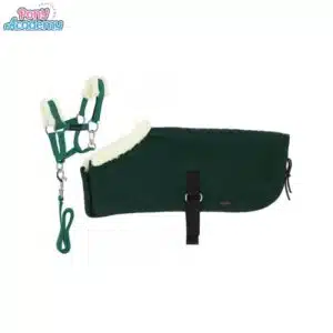 Set Mini licol couverture Peluche PONY ACADEMY EQUITHEME vert forêt Sellerie Equinoxe Shop Fuveau