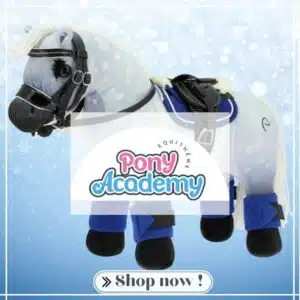 nouveautés Pony Academy AW25 Sellerie Equinoxe Shop Fuveau