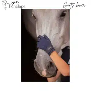 Gants d'équitation hiver chaud marine Eden by Pénélope Store 9806502 Sellerie Equinoxe Shop