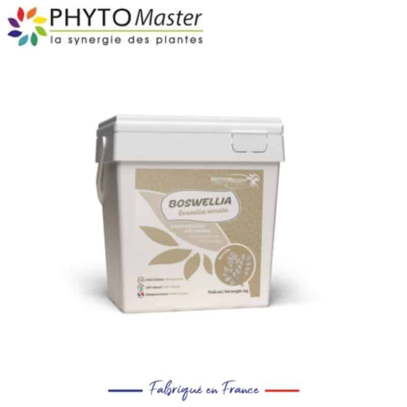 BOSWELLIA PHYTO MASTER 151280101 Soutien articulaire et locomoteur du cheval SELLERIE EQUINOXE SHOP FUVEAU