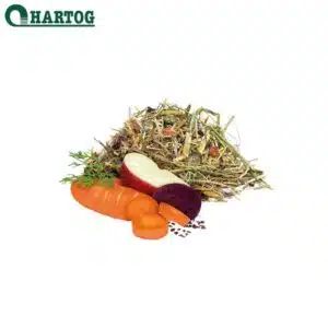 Hartog Digest aliment pour chevaux estomac sensible intestins sensibles problèmes digestifs Sellerie Equinoxe Shop fuveau Hartog Digest aliment pour chevaux estomac sensible intestins sensibles problèmes digestifs Sellerie Equinoxe Shop fuveau