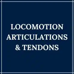 Locomotion, Articulations et Tendons
