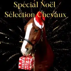 Sélection Chevaux