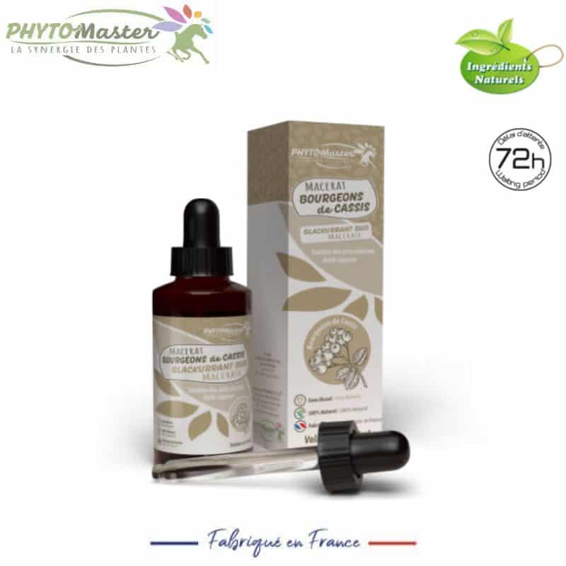 MACÉRÂT DE BOURGEONS DE CASSIS cheval PHYTOMASTER