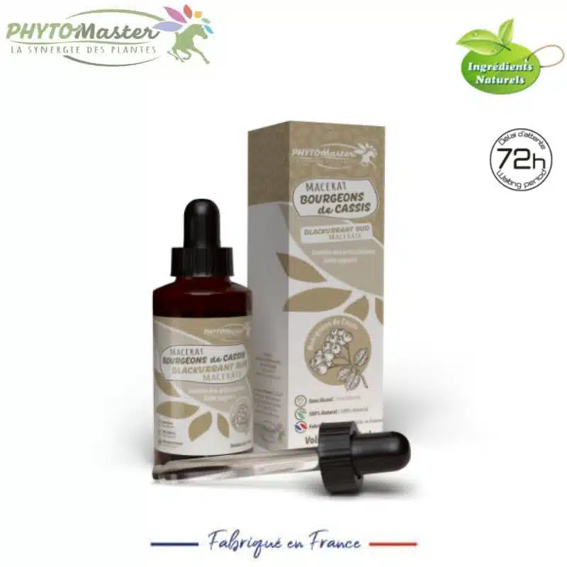MACÉRÂT DE BOURGEONS DE CASSIS cheval PHYTOMASTER